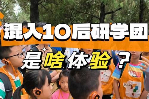 90后大龄儿童混进10后研学团，被教育了……